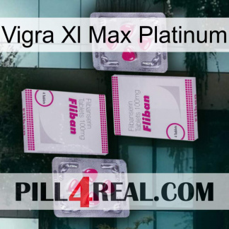 Vigra Xl Max Platinum 33